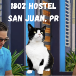 1802 Hostel - Where Backpackers and Stray Cats Meet